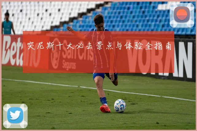 突尼斯十大必去景点与体验全指南