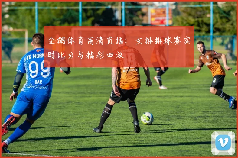 企鹅体育高清直播:女排排球赛实时比分与精彩回放