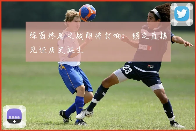 绿茵终局之战即将打响:锁定直播见证历史诞生