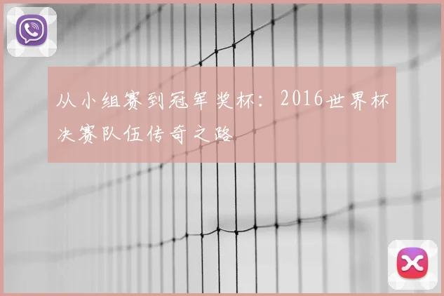 从小组赛到冠军奖杯：2016世界杯决赛队伍传奇之路