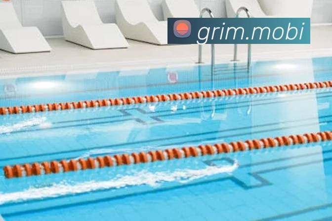 奇异果网页版发展历程